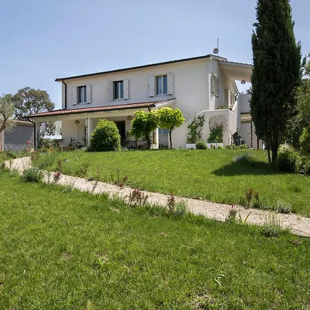 Marsy3 - Enchanting Lavender Farm Whole * Marsiliana