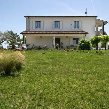 Marsy3 - Enchanting Lavender Farm Whole