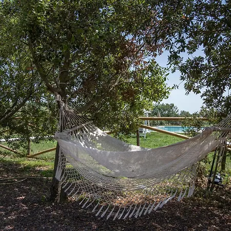 Villa Marsy3 - Enchanting Lavender Farm Whole Marsiliana