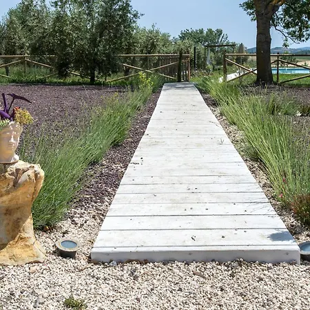 Marsy3 - Enchanting Lavender Farm Whole *