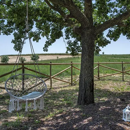 Villa Marsy3 - Enchanting Lavender Farm Whole